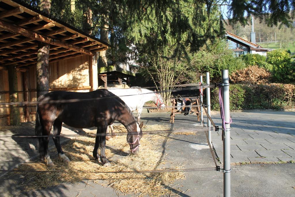 Ferienhaus "Kleiner Onkel" Honerath Esterno foto
