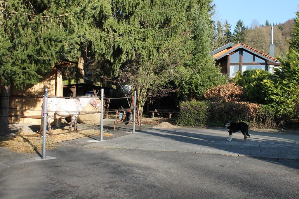 Ferienhaus "Kleiner Onkel" Honerath Esterno foto